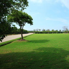 綠化(hua)施工(gong) V