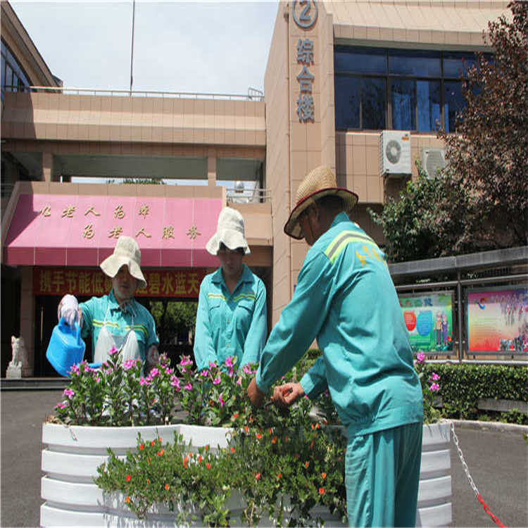 綠化養(yang)護(hu) 8