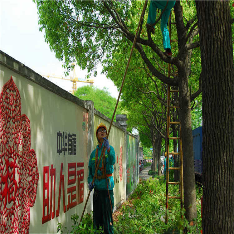 綠(lv)化養(yang)護 4