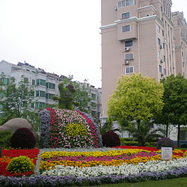 景(jing)點(dian)擺(bai)蘤 2