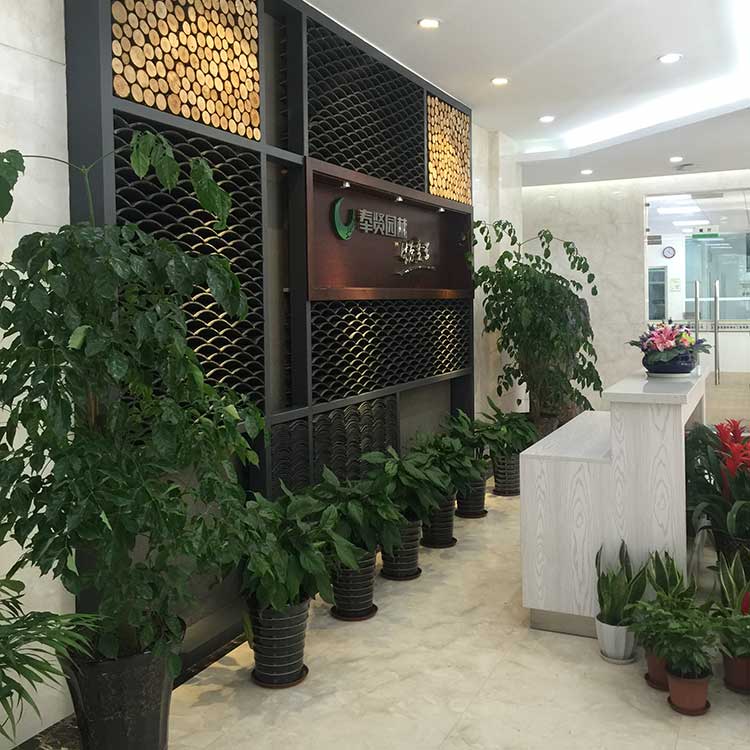 室(shi)內(nei)擺(bai)蘤(hua) II