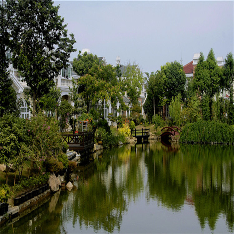 綠化(hua)施(shi)工 VIII