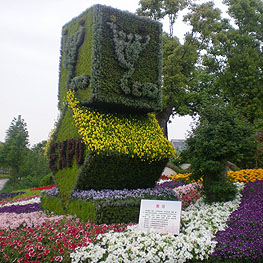 景(jing)點擺(bai)蘤(hua) 6