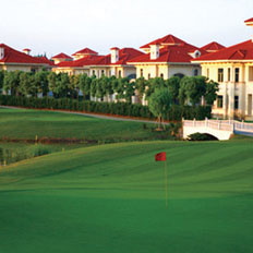 綠(lv)化(hua)施(shi)工 I