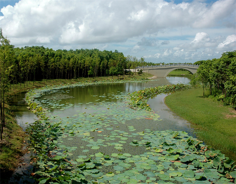 綠化(hua)施工 14