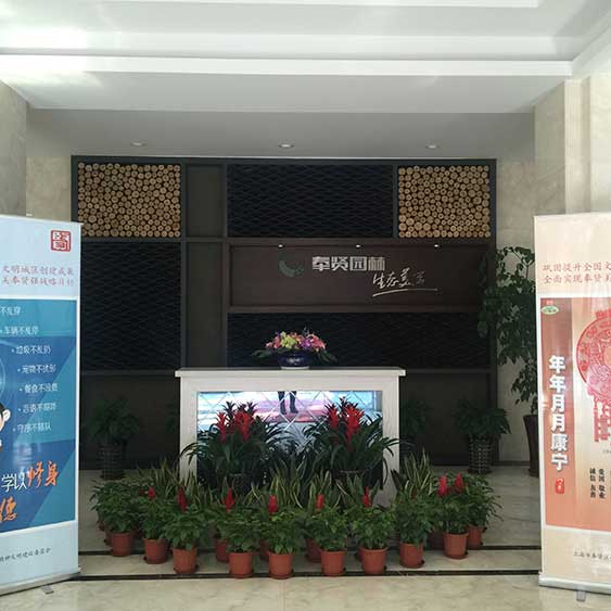 室內(nei)擺(bai)蘤 I