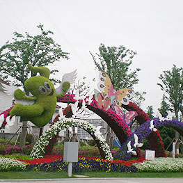 景(jing)點擺(bai)蘤(hua) 5