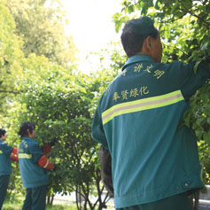 綠(lv)化(hua)養(yang)護 3