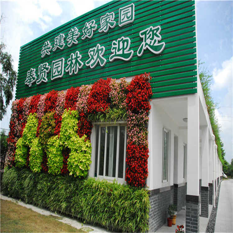 景(jing)點擺蘤(hua) 15