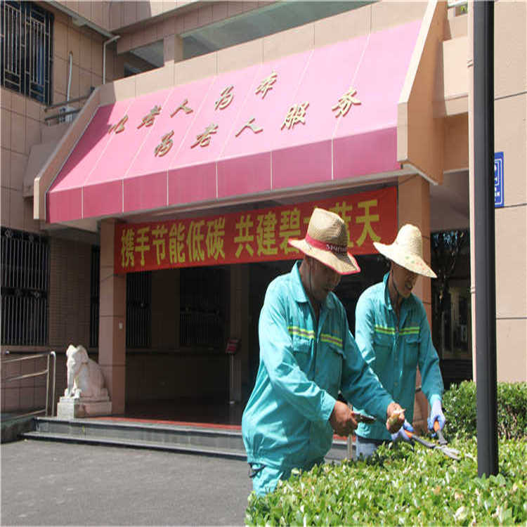 綠化養(yang)護 8