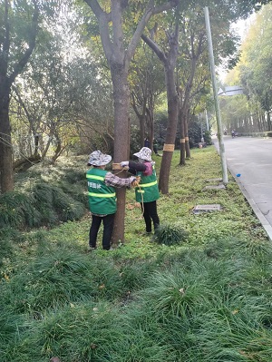 圖片1.jpg 圖片(pian)1.jpg