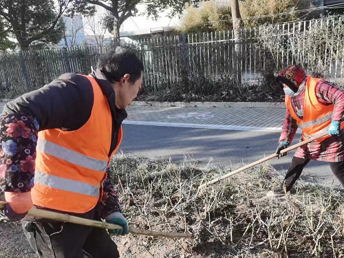 月季(ji)鼕肥2.png 月(yue)季鼕(dong)肥2.png