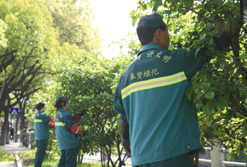 58ae7031a1b0c.jpg ywfw6_1.jpg