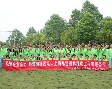 58b39b0e2971f.jpg 1.jpg