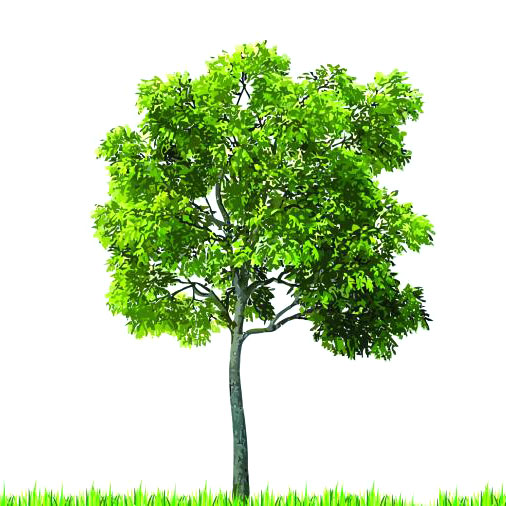 58b3bdce35c90.jpg timg1.jpg