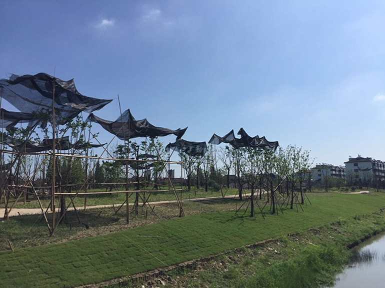 58b5246fcc399.jpg 1.jpg