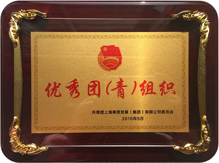優秀(xiu)糰(tuan)青組(zu)織.JPG