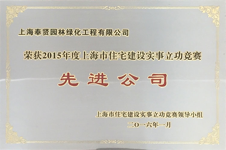 2015年度(du)住(zhu)宅建(jian)設(she)實事(shi)立功競賽先進公司.JPG