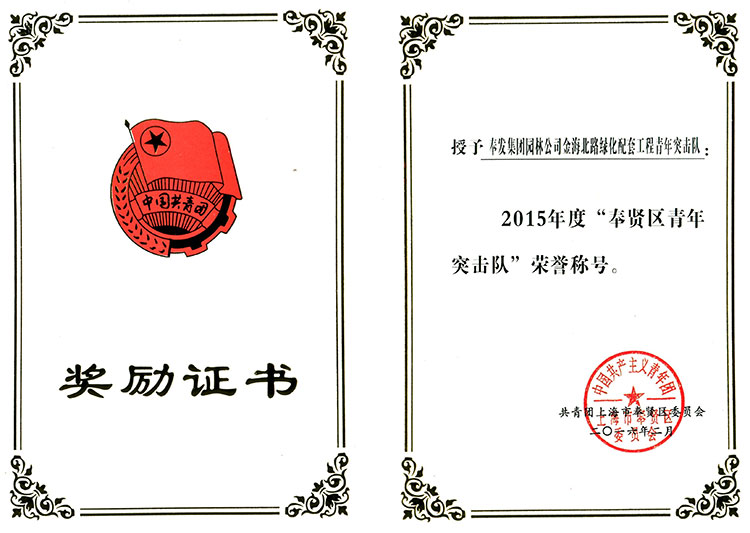 59152cfc3d540.jpg 2015年(nian)度“奉賢(xian)區(qu)青年突擊隊”.jpg