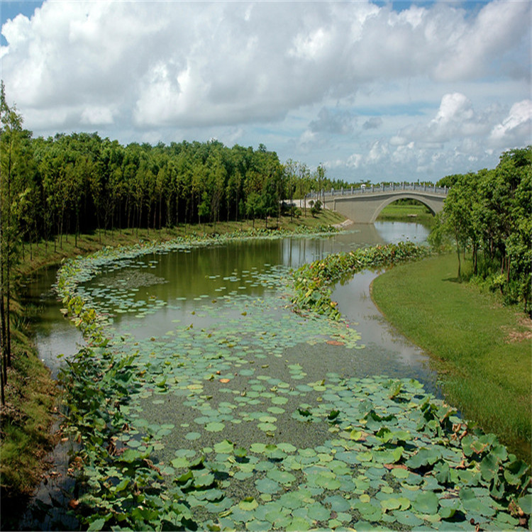 591550acb7728.jpg 7 - 副本(ben).jpg