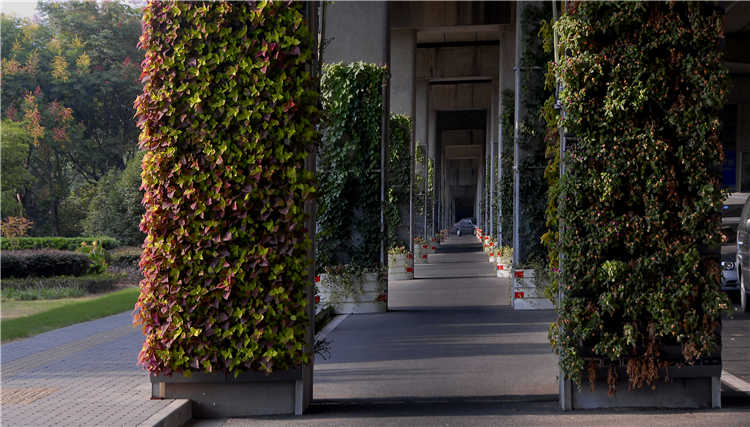 5915552813880.jpg 橋(qiao)柱(zhu)垂(chui)直綠(lv)化.jpg