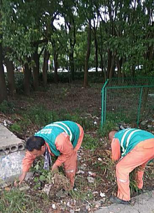 602f2579923ef.png 5.png