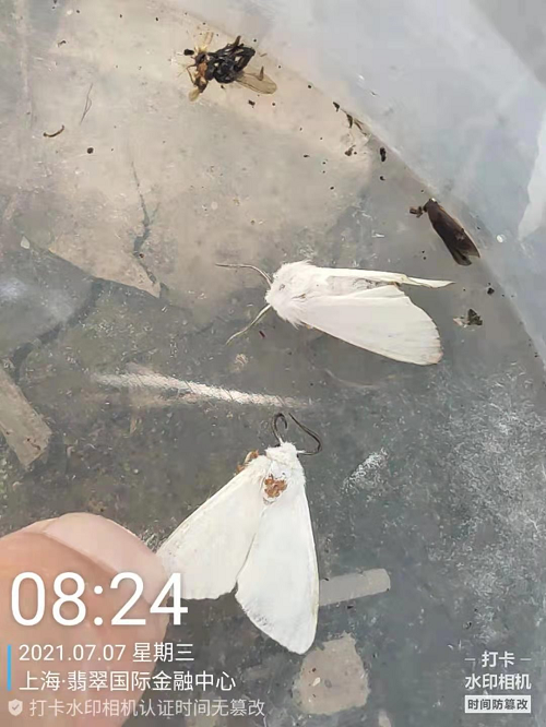 60ffaea44ce88.png 圖(tu)片1.png